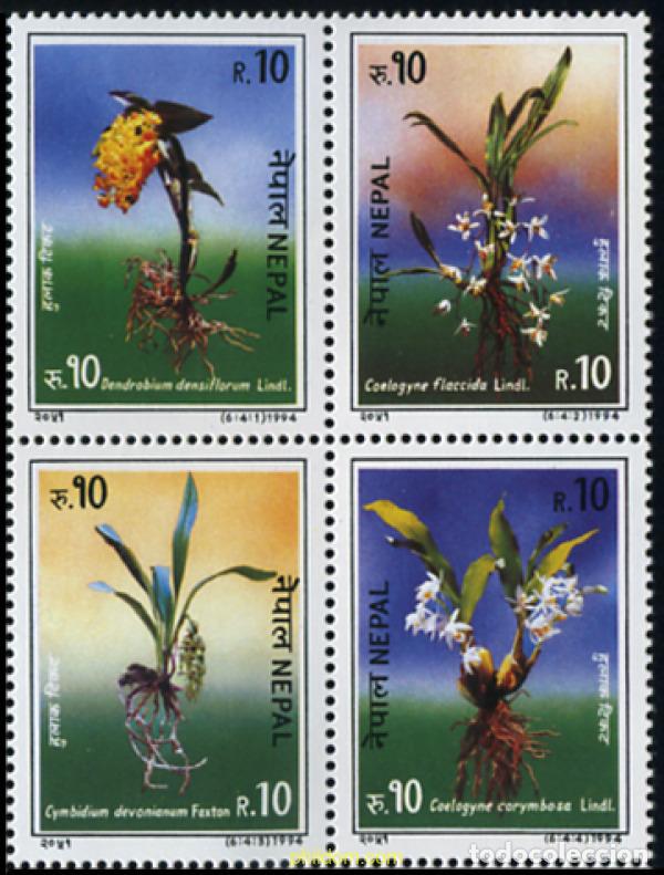 Sellos: 347310 MNH NEPAL 1994 ORQUIDEAS - Foto 1