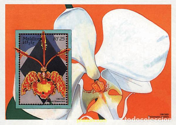 Sellos: 340910 MNH MALDIVAS 1995 FLORES
