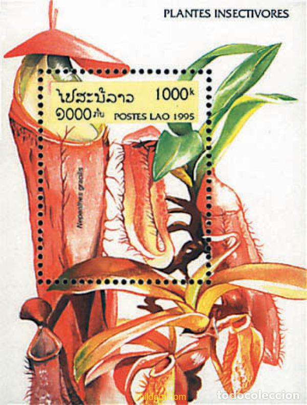 Sellos: 95629 MNH LAOS 1995 PLANTAS INSECTIVORAS
