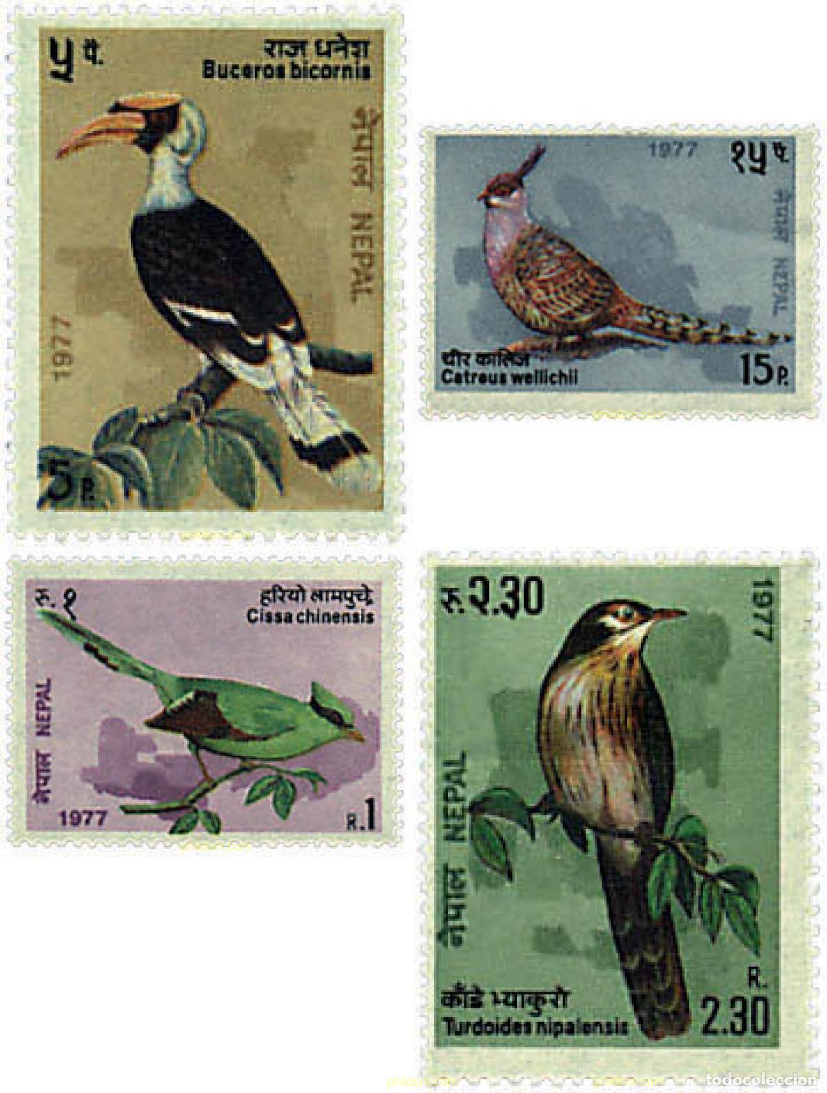 Sellos: 31803 MNH NEPAL 1977 PAJAROS DEL NEPAL