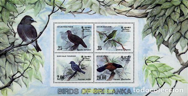 Sellos: 32097 MNH SRI LANKA 1983 AVES
