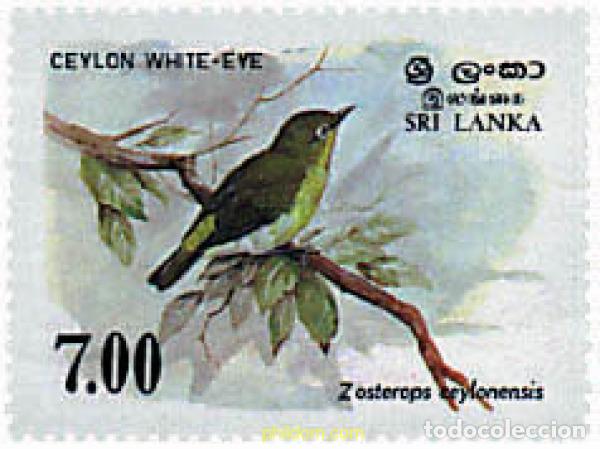 Sellos: 36992 MNH SRI LANKA 1988 PAJARO