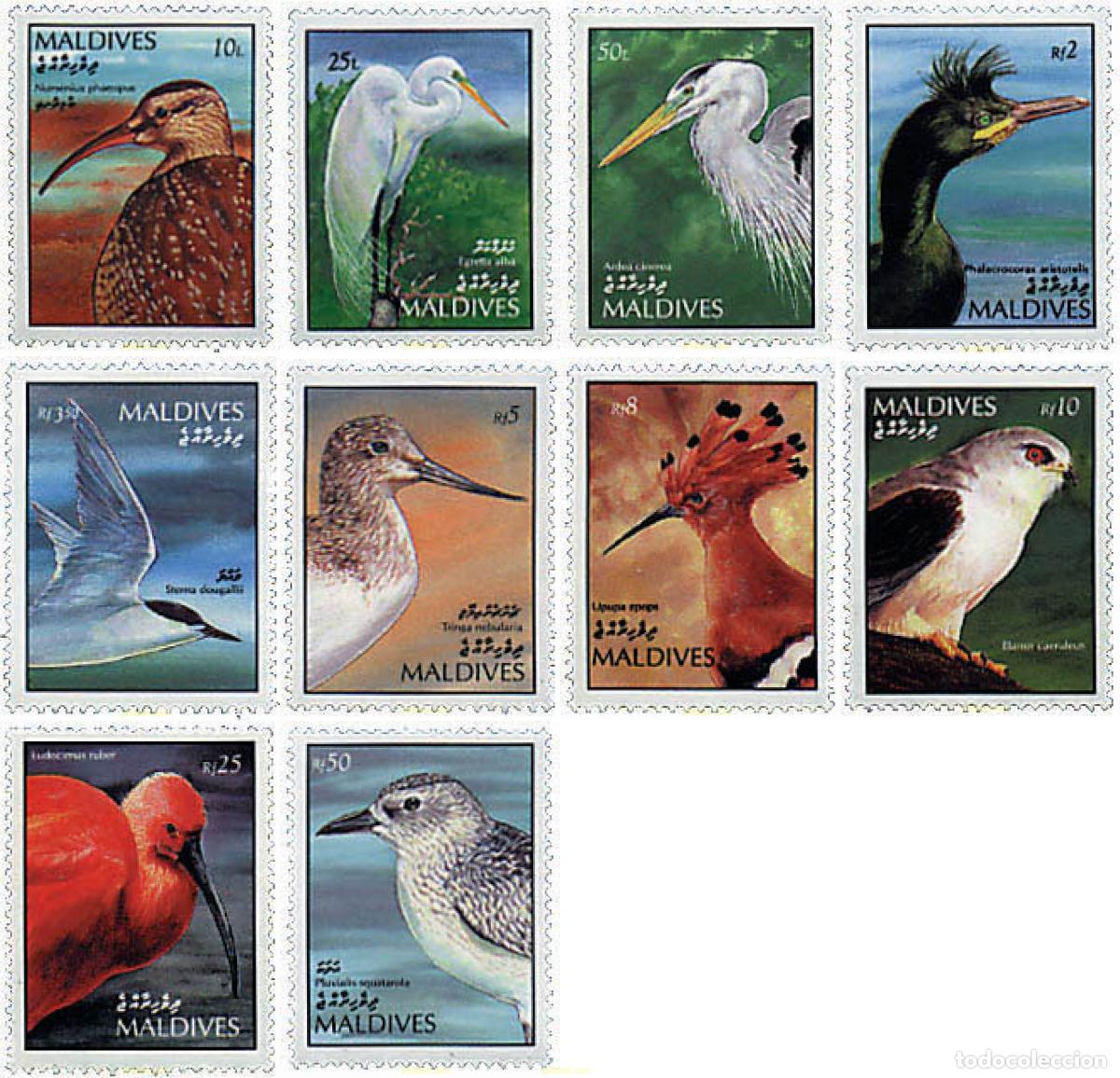 Sellos: 31673 MNH MALDIVAS 1992 AVES