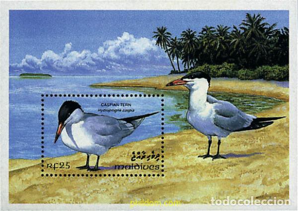 Sellos: 340814 MNH MALDIVAS 1993 AVES