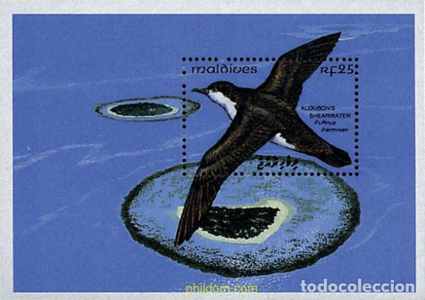 Sellos: 340862 MNH MALDIVAS 1993 AVES