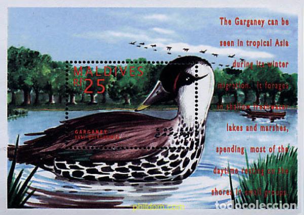 Sellos: 340894 MNH MALDIVAS 1995 AVES MARINAS