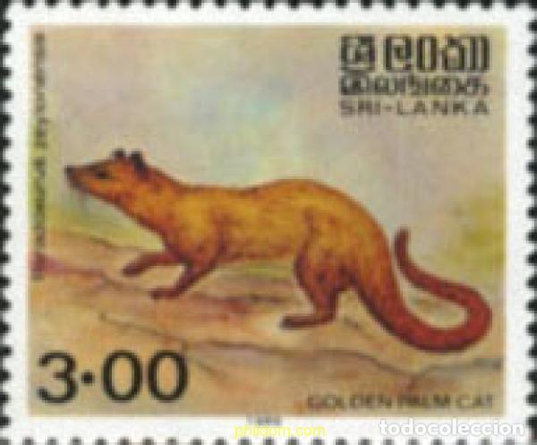 Sellos: 30374 MNH SRI LANKA 1989 MAMIFEROS