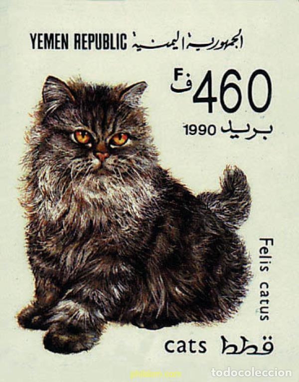 Sellos: 36830 MNH YEMEN. Rep&uacute;blica 1990 GATOS