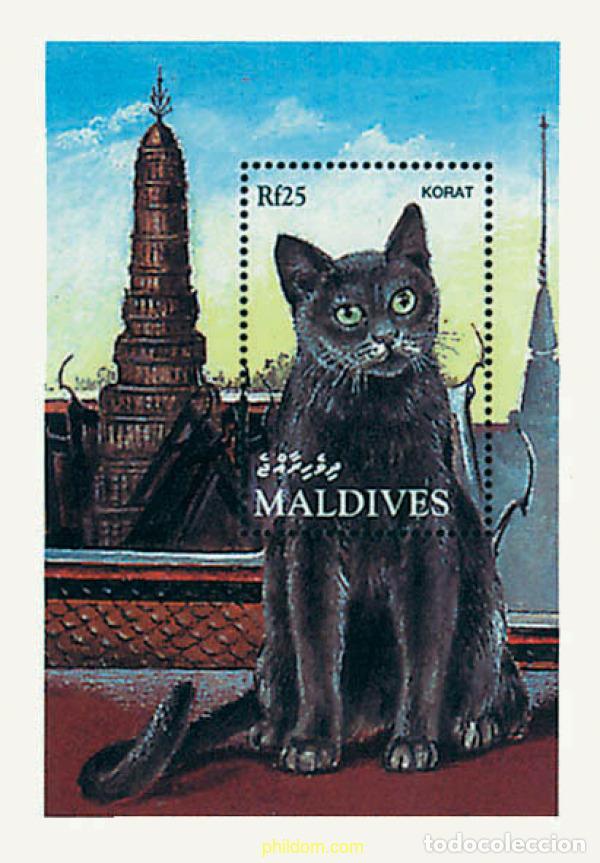 Sellos: 257241 MNH MALDIVAS 1994 GATOS DE RAZA