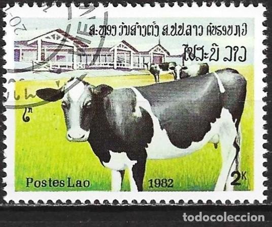 Sellos: Laos 1982 - Mi 589 - YT 440 - Vaca
