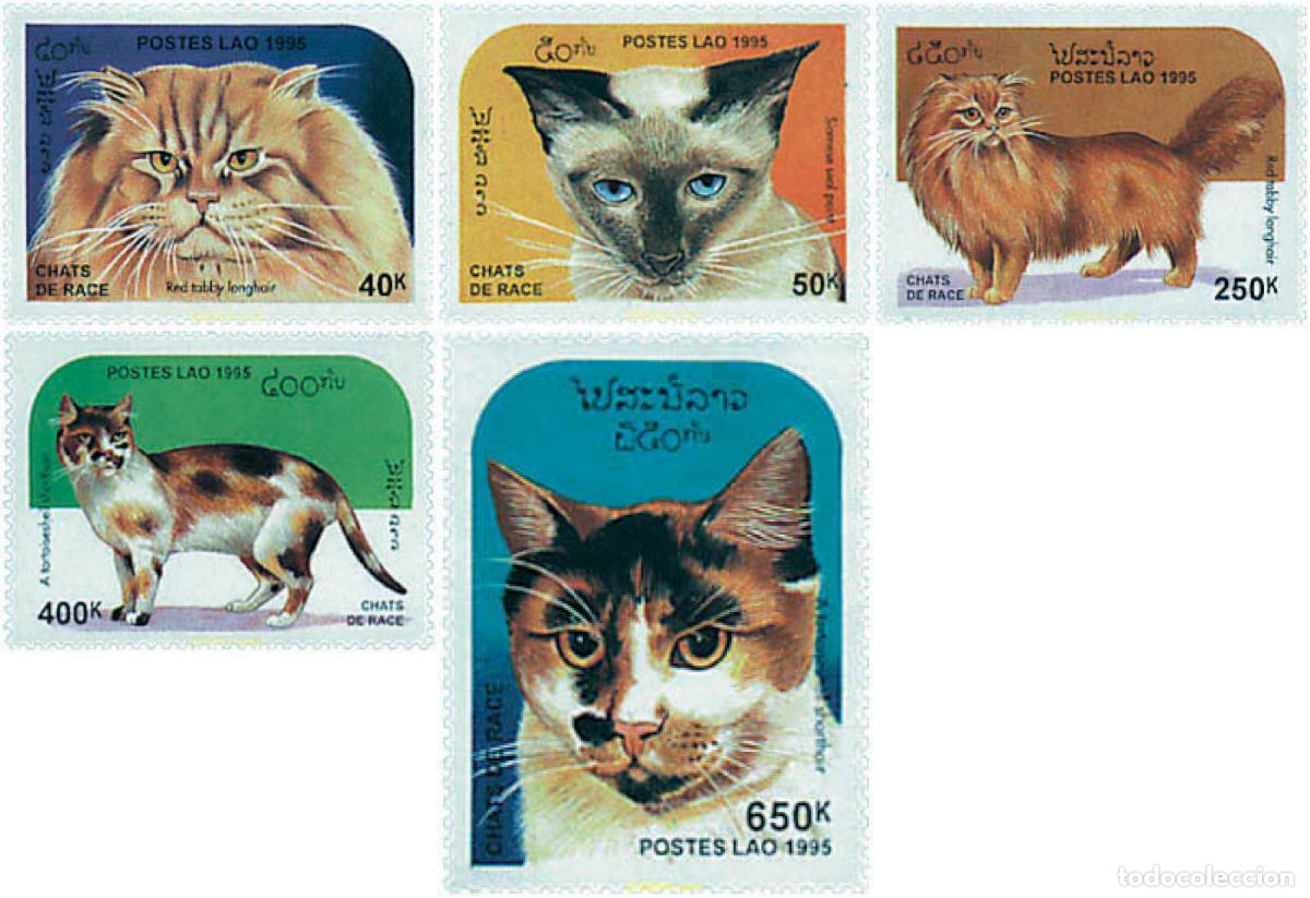 Sellos: 37616 MNH LAOS 1995 GATOS DE RAZA