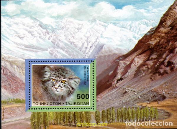 Francobolli: 44042 MNH TAYIKISTAN 1996 FELINOS