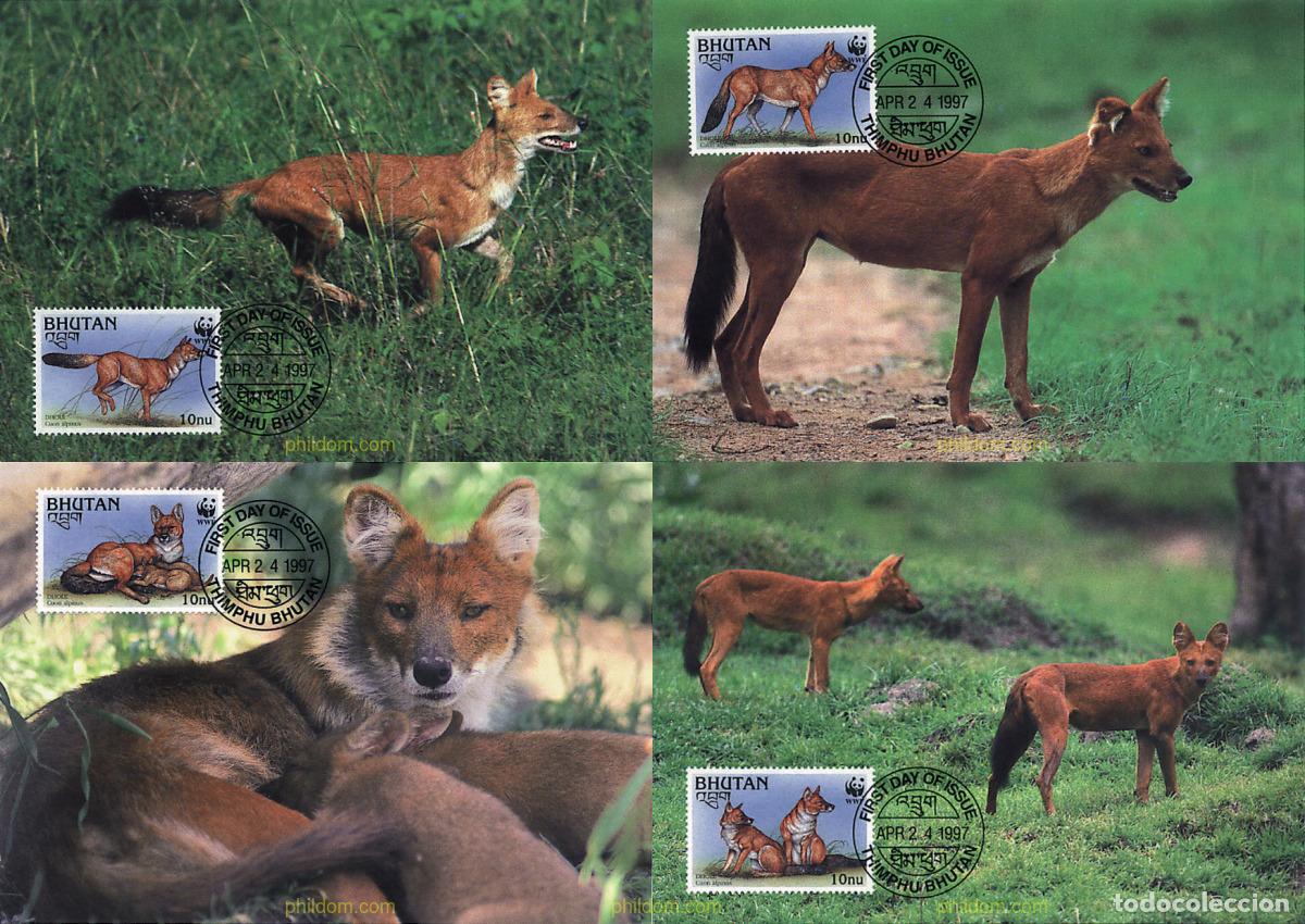Stamps: 7435 MNH BHUTAN 1997 PERRO ROJO ASIATICO