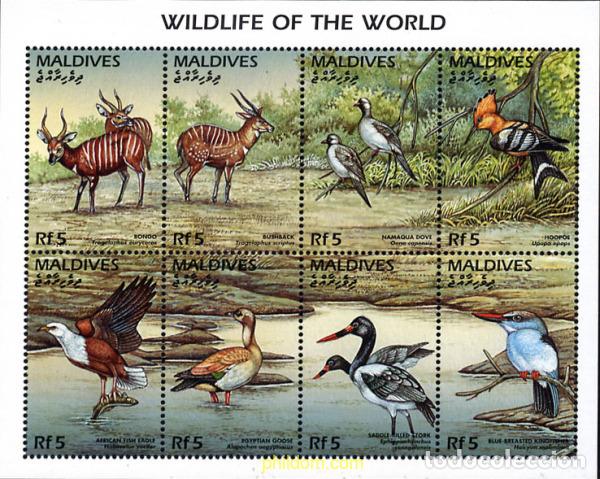 Sellos: 597779 MNH MALDIVAS 1996 MAMIFEROS