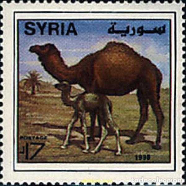 Selos: 39371 MNH SIRIA 1998 DROMEDARIOS