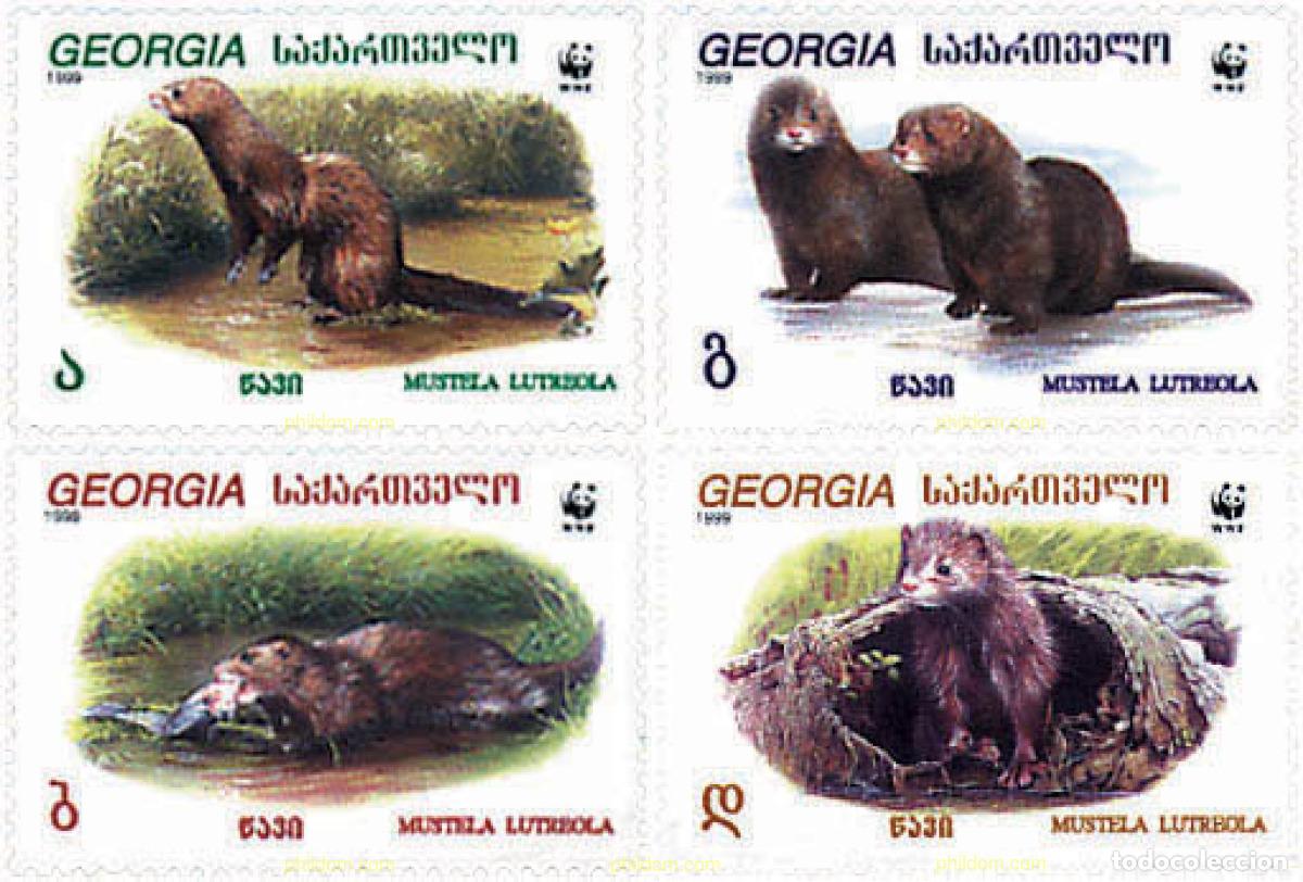 Francobolli: 74950 MNH GEORGIA 1999 VISON EUROPEO