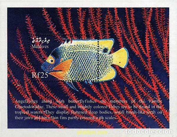 Francobolli: 340952 MNH MALDIVAS 1999 FAUNA MARINA