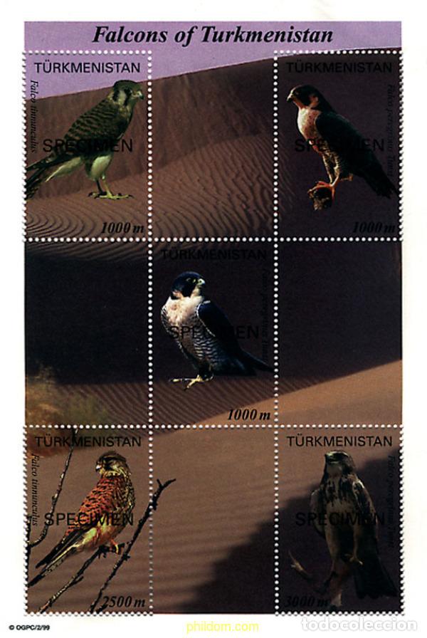Briefmarken: 121763 MNH TURKMENISTAN 2000 HALCONES DE TURKMENISTAN