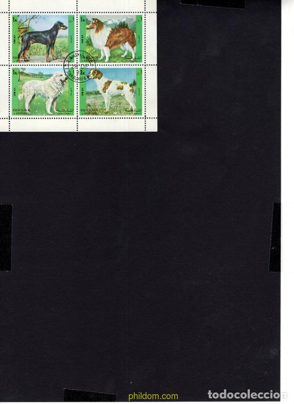 Selos: 667975 USED SHARJAH 1972 PERROS DE RAZA
