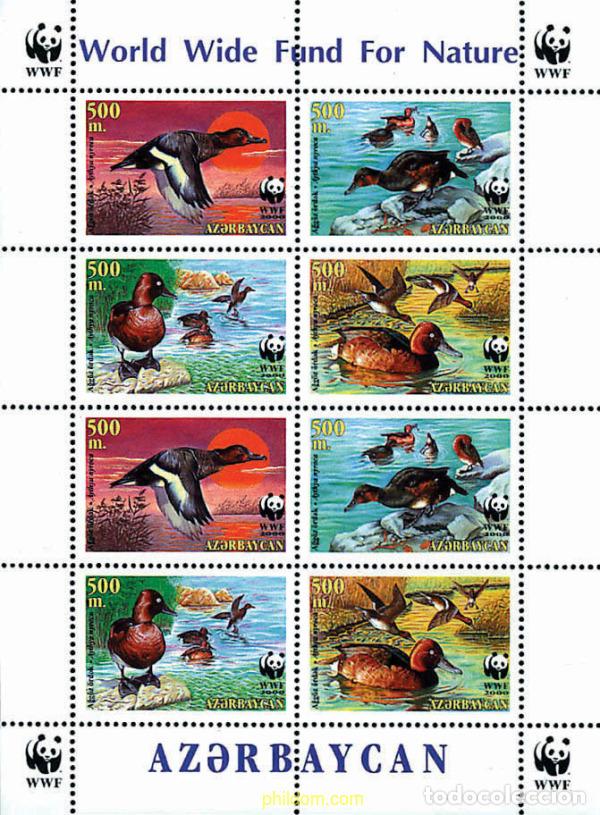 Sellos: 12701 MNH AZERBAIYAN 2000 PORRON PARDO