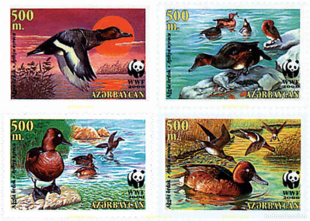 Sellos: 74223 MNH AZERBAIYAN 2000 PORRON PARDO