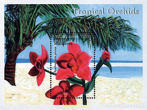 Selos: 340955 MNH MALDIVAS 2000 ORQUIDEAS TROPICALES