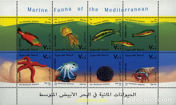 Sellos: 242079 MNH PALESTINA 2000 FAUNA MARINA DEL MEDITERRANEO