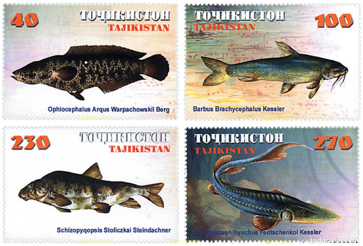 Sellos: 87203 MNH TAYIKISTAN 2000 PECES