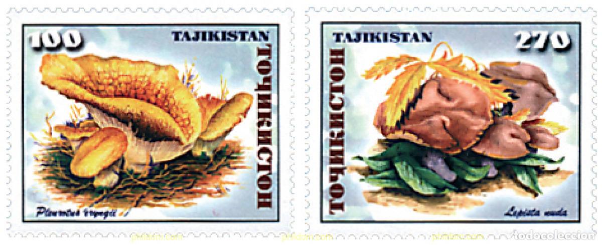 Sellos: 87196 MNH TAYIKISTAN 1999 SETAS