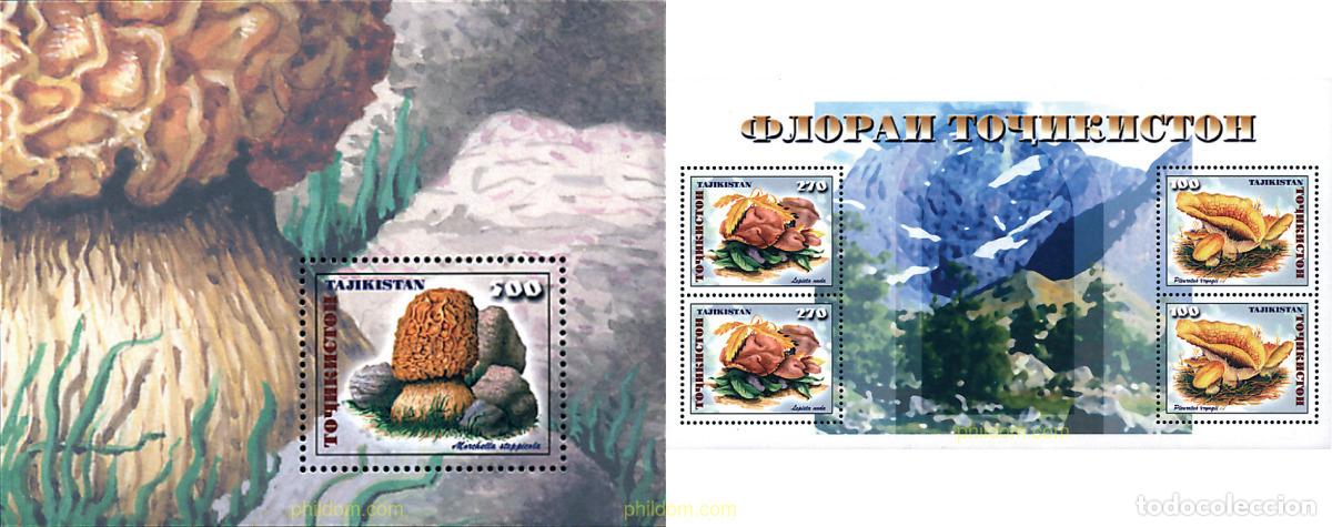 Timbres: 87197 MNH TAYIKISTAN 1999 SETAS