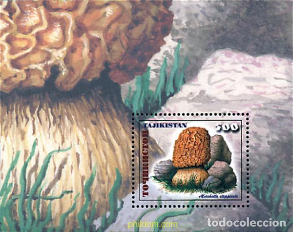 Timbres: 365161 MNH TAYIKISTAN 1999 SETAS