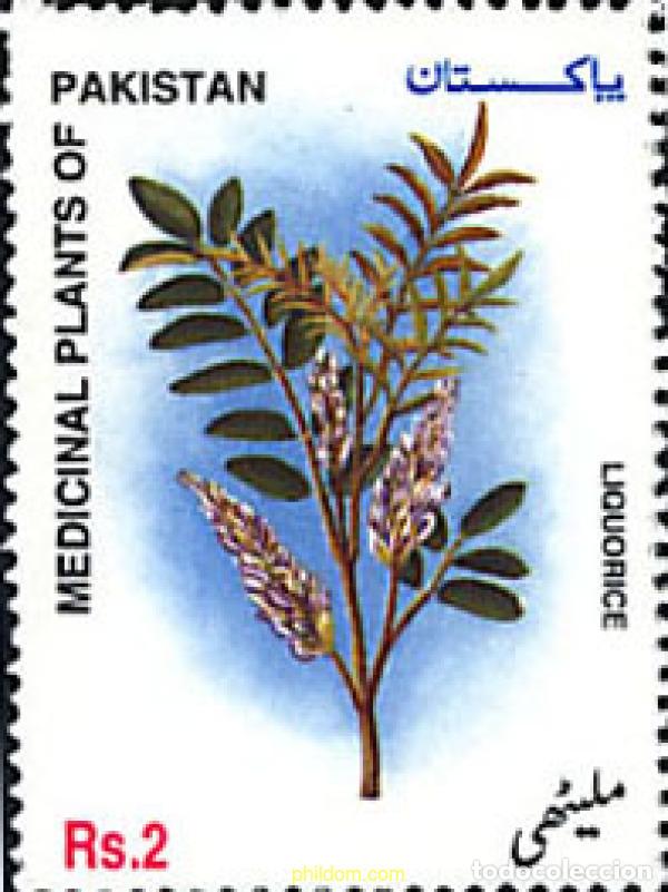 Sellos: 118767 MNH PAKISTAN 2000 PLANTAS MEDICINALES