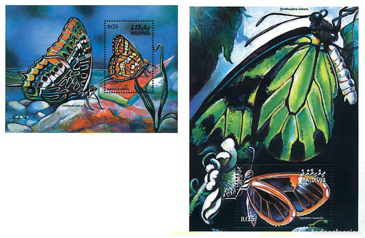 Sellos: 77568 MNH MALDIVAS 2001 MARIPOSAS NOCTURNAS DE LAS MALDIVAS