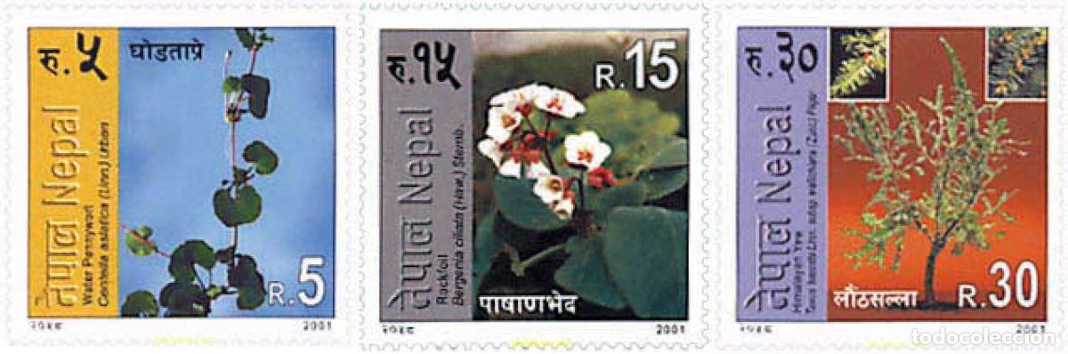 Sellos: 94593 MNH NEPAL 2001 FLORA