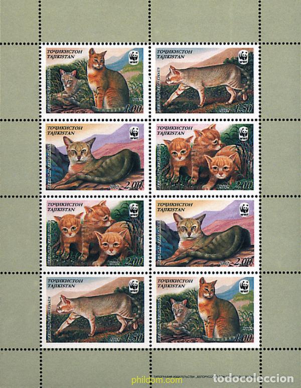 Sellos: 12632 MNH TAYIKISTAN 2002 WWF. FELIS CHAUS