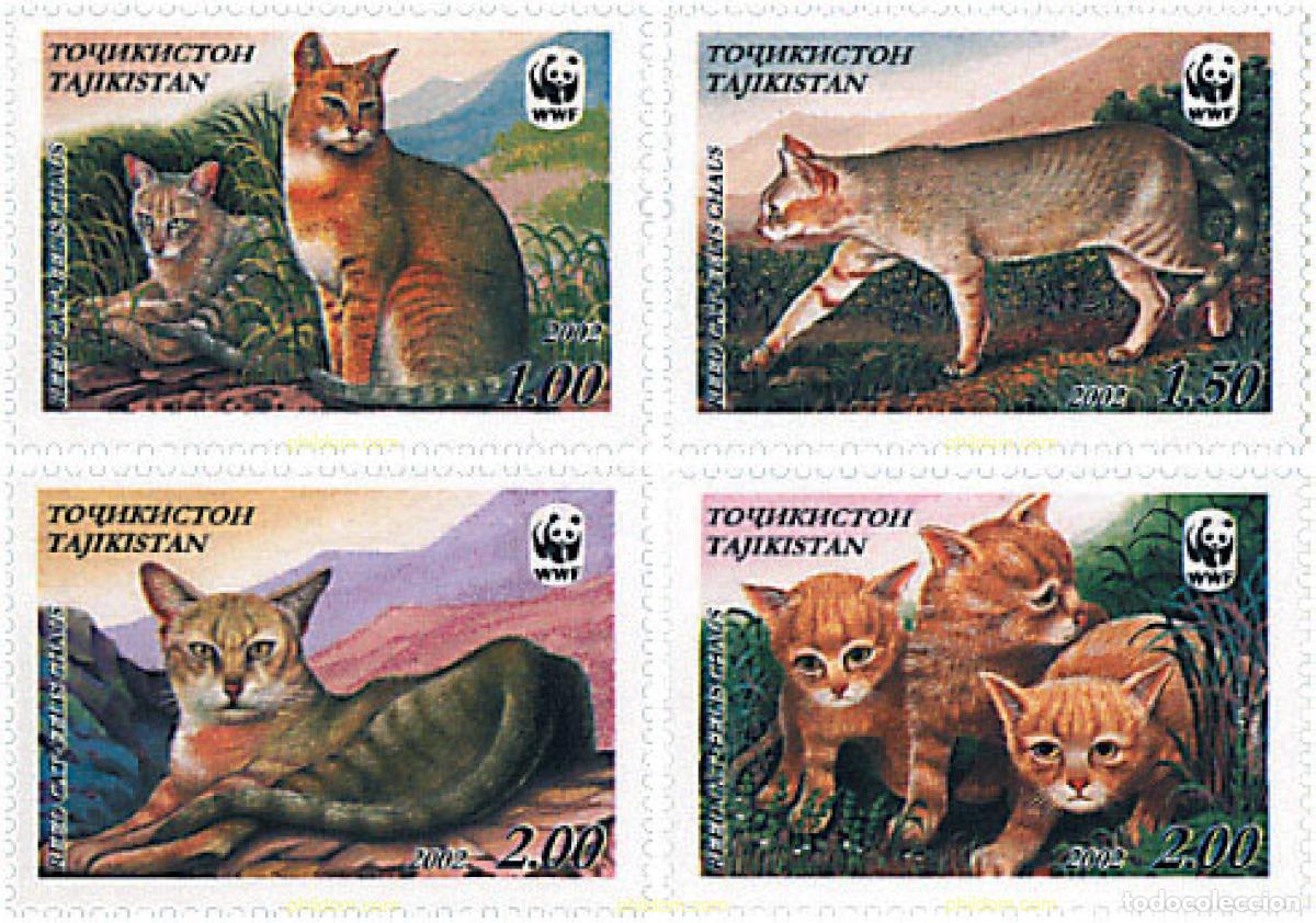 Timbres: 183478 MNH TAYIKISTAN 2002 WWF. FELIS CHAUS