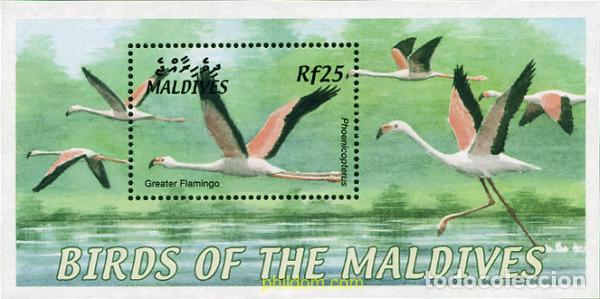 Sellos: 635790 MNH MALDIVAS 2002 AVES DE LAS MALDIVAS