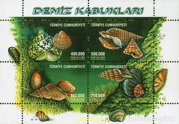 Sellos: 99205 MNH TURQUIA 2002 CONCHAS