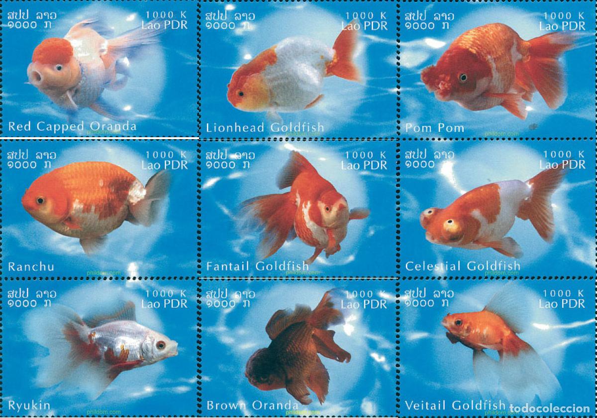 Sellos: 345204 MNH LAOS 2002 PECES ROJOS
