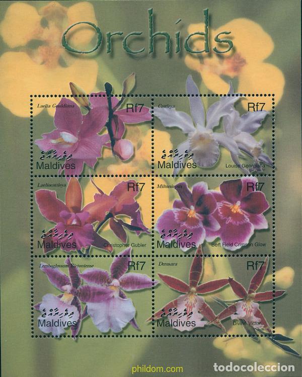 Sellos: 277566 MNH MALDIVAS 2002 ORQUIDEAS