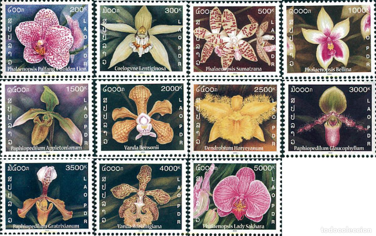Sellos: 125116 MNH LAOS 2003 ORQUIDEA