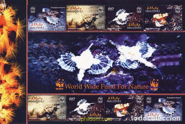 Sellos: 147914 MNH MALDIVAS 2004 EURYPEGASUS DRACONIS