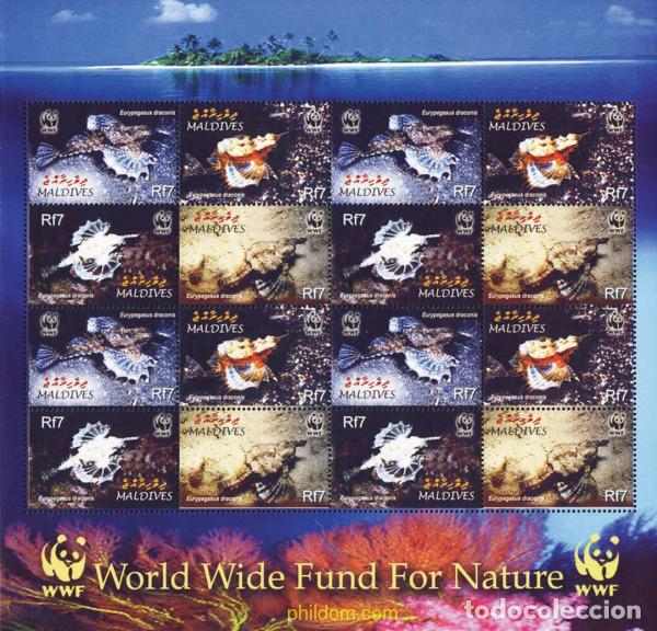 Sellos: 147915 MNH MALDIVAS 2004 EURYPEGASUS DRACONIS