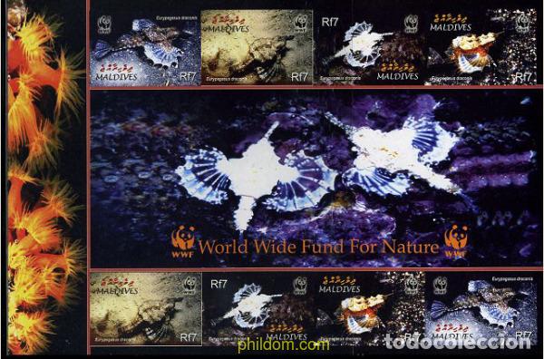 Sellos: 203573 MNH MALDIVAS 2004 EURYPEGASUS DRACONIS