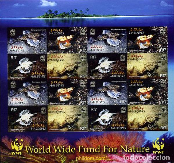 Sellos: 203574 MNH MALDIVAS 2004 EURYPEGASUS DRACONIS