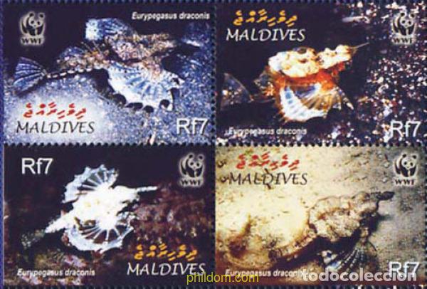 Sellos: 341015 MNH MALDIVAS 2004 EURYPEGASUS DRACONIS