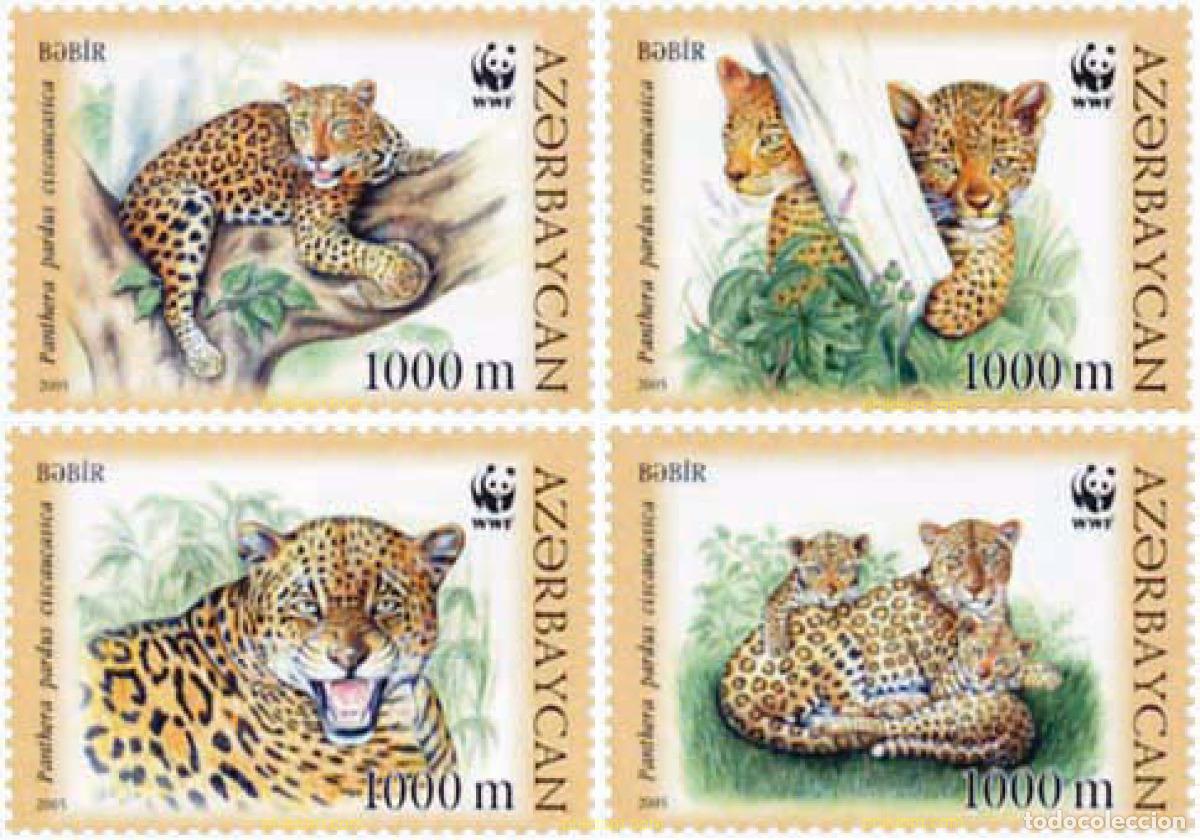 Sellos: 148598 MNH AZERBAIYAN 2005 WWF