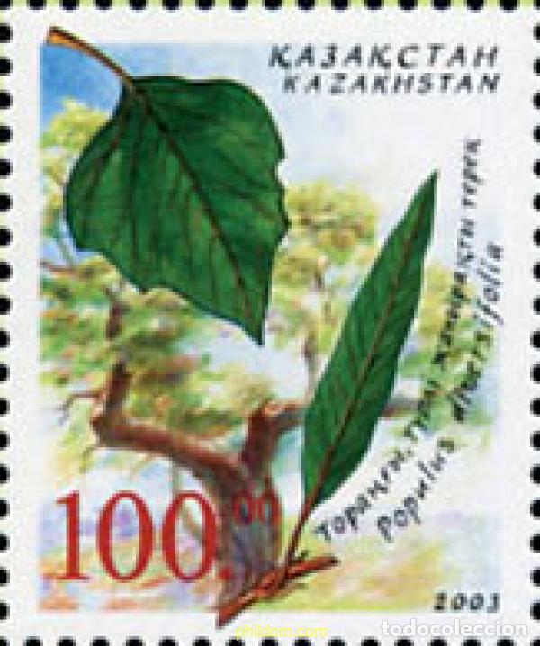 Sellos: 149001 MNH KAZAJSTAN 2003 PROTECCION DEL MEDIO AMBIENTE