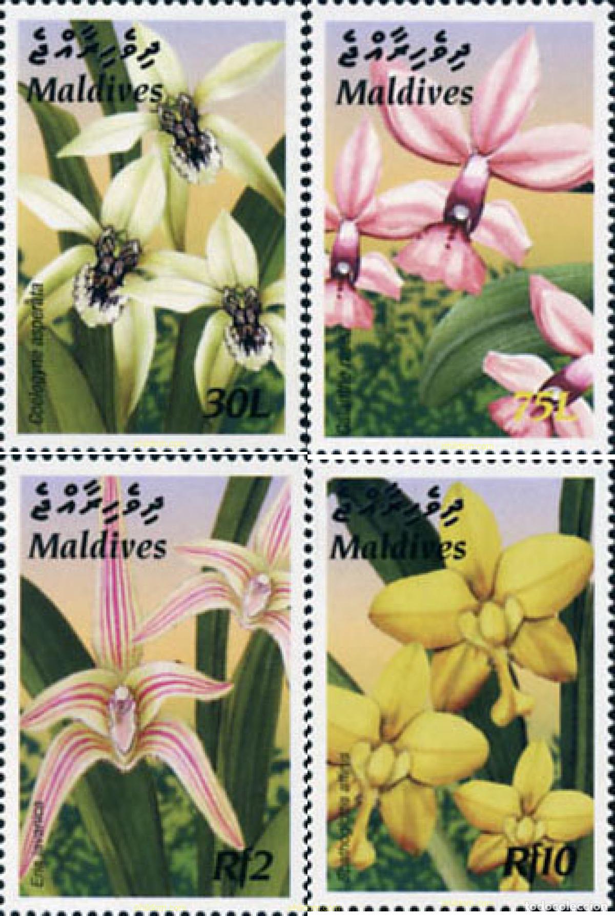 Sellos: 154531 MNH MALDIVAS 2003 FLORES
