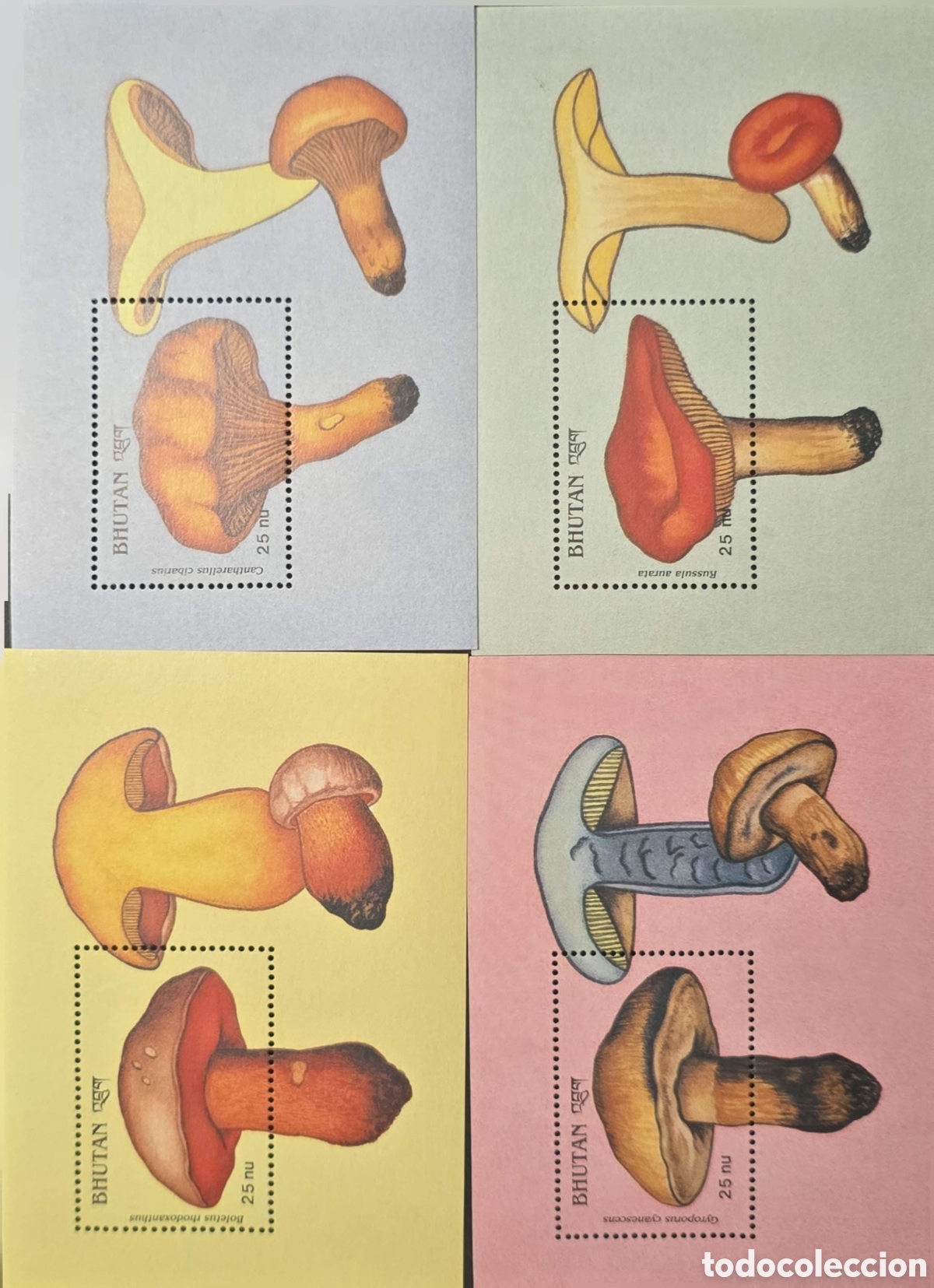 Sellos: CA)Bhutan + 1990s + Mushroom Issue + Set of four 25 Nu stamps featuring Cantharellus cibarius, Russu